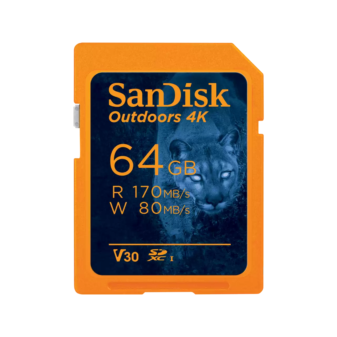 SanDisk 64GB Outdoors 4K SD UHS-I SDXC Memory Card - SDSDXW2-064G-GN6VN