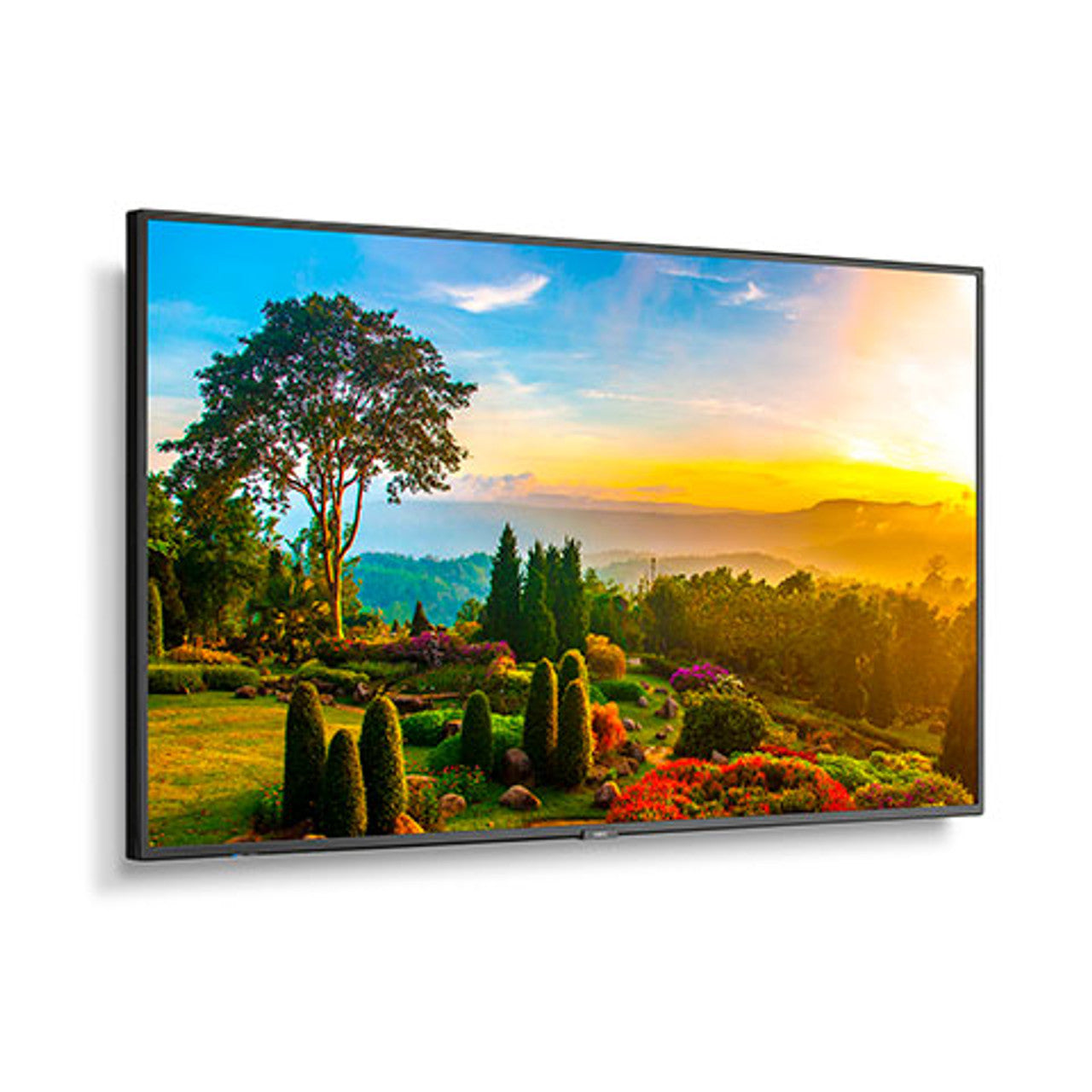 Sharp NEC Display M501-2 Digital Signage Display - 50" LCD - Vertical Alignment (VA) - High Dynamic Range (HDR) - 24 Hours/7 Days Operation - 3840 x 2160 - 16:9 - 6.50 ms - Direct LED - 500 Nit - 2160p - HDMI - USB - SerialEthernet - Energy Star