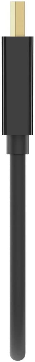 Belkin F2CD005b Displayport to DVI Adapter,Black