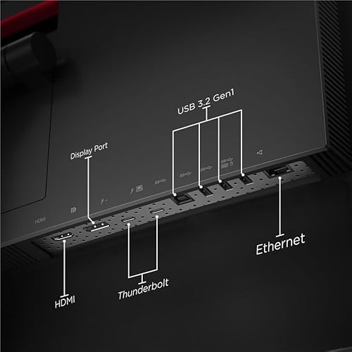 Lenovo ThinkVision P40w-20 40" Class Webcam WUHD Curved Screen LCD Monitor - 21:9 - Raven Black