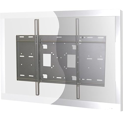 PLANAR SYSTEMS Planar Systems Mount Hardware Mount (955-0679-00)