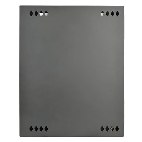 TRIPP LITE SmartRack 15U Low-Profile Switch-Depth Wall-Mount Rack Enclosure Cabinet, Black (SRW15US)