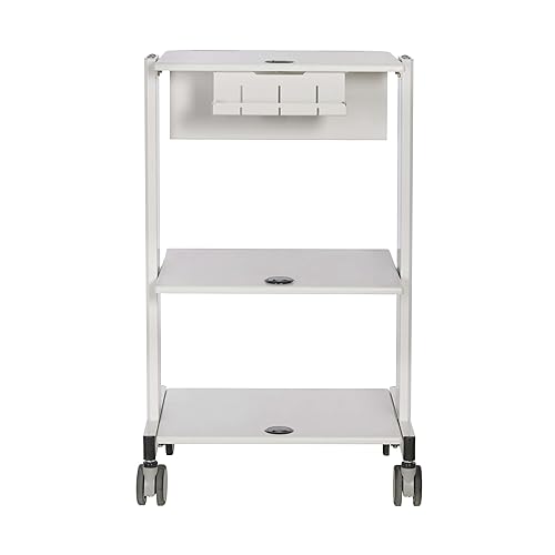 Tripp Lite Mobile Standing Desk, Small Rolling Laptop Cart Workstation Workspace, 2 Adjustable Shelf & 2 Metal Storage Drawers, TAA Compliant, Home Office & School, 5-Year Warranty (WWSS2DWSTAA)