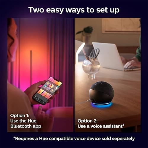 Philips Hue White and Colour Ambiance Gradient Signe Smart LED Floor lamp (Black), Colour Changing, Bluetooth & Zigbee Compatible, Voice Activated with Alexa, Wellbeing Lamp