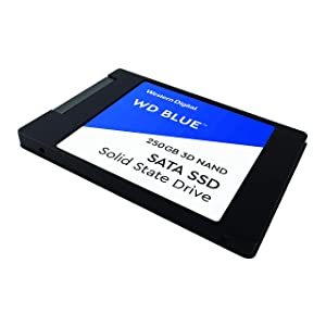 Western digital WD Blue 250gb SSD (WDBNCE2500PNC)