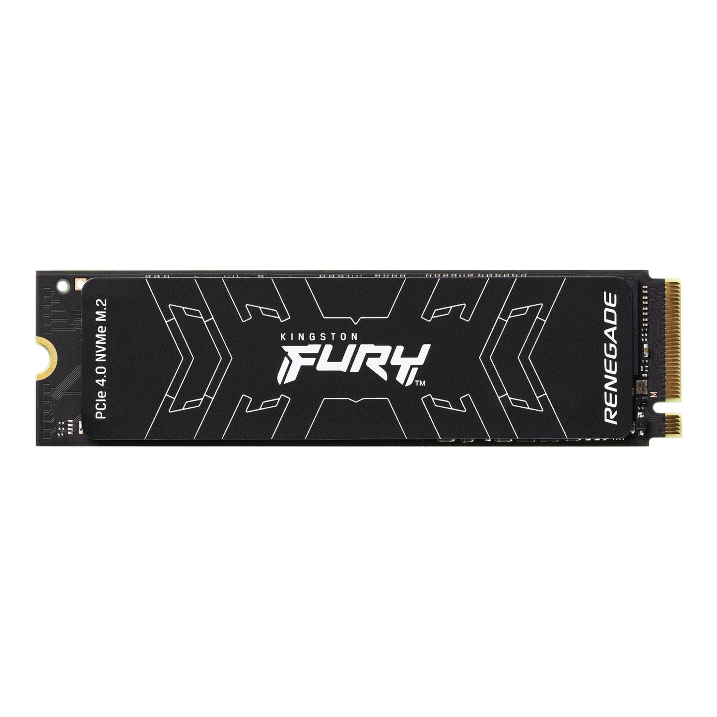 Kingston FURY Renegade 500 GB Solid State Drive