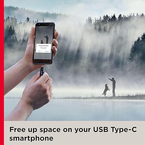 SanDisk 64GB Ultra Dual Drive Go USB Type-C Flash Drive, Black - SDDDC3-064G-G46 Black 64GB