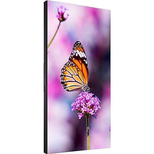 NEC MultiSync UN552V 55 16:9 Full HD S-IPS Ultra Narrow Bezel Video Wall LCD LED Display with Direct LED Backlights, 3.5mm Bezel Gap HDMI/DP Daisy Chain, SpectraView Engine