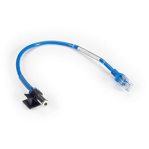 Black Box Dual Temperature/Humidity Sensor Cable - 1-ft. (0.3-m) - 40°F (-40°C) to 167°F (75°C) - 0% to 100%% - Blue