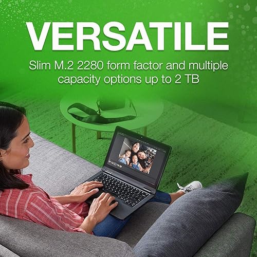 Seagate BarraCuda Q5 1TB Internal SSD - M.2 NVMe PCIe Gen3 ×4, 3D QLC for Desktop or Laptop, 1-year Rescue Services (ZP1000CV3A001) 1TB M.2 SSD