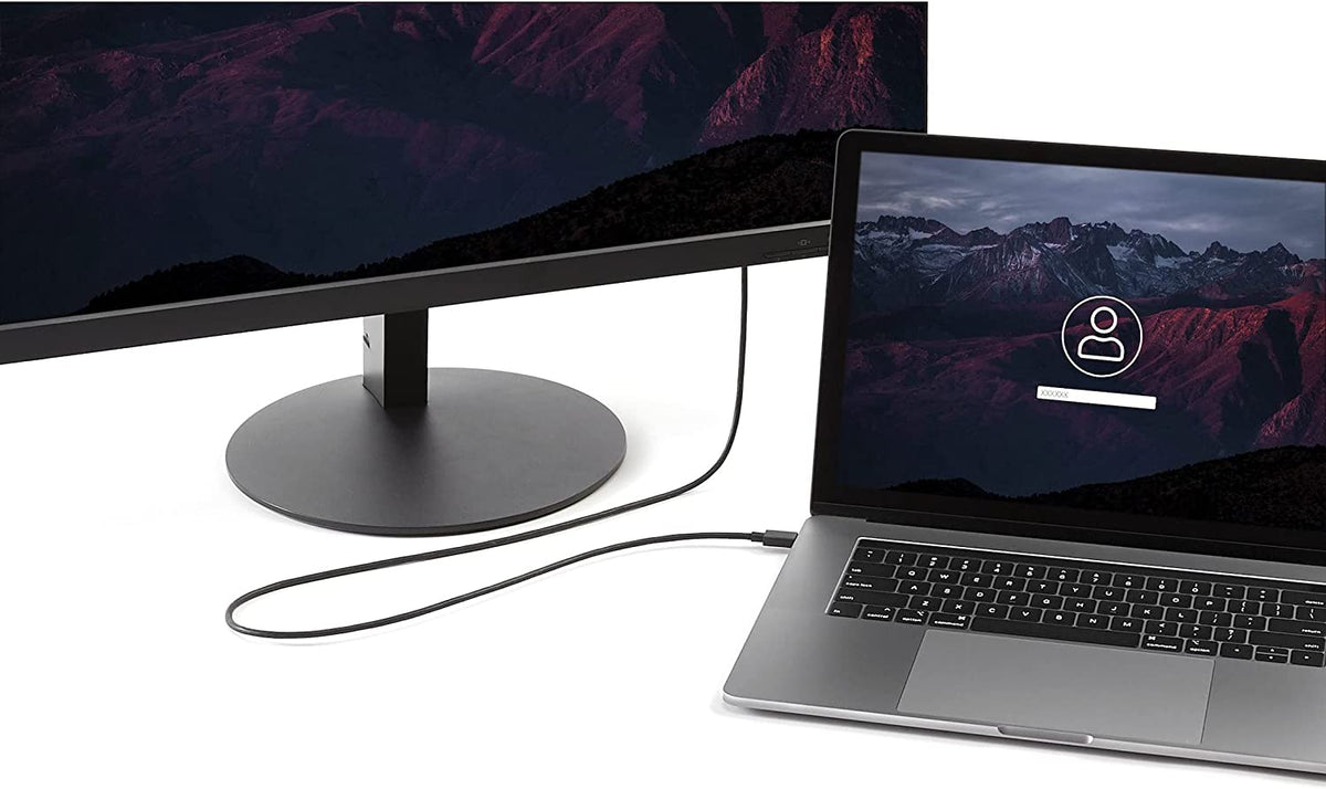 StarTech.com 6ft/1.8m USB C to DisplayPort 1.2 Cable 4K 60Hz - USB-C to DP Adapter HBR2 - USB Type-C DP Alt Mode to DP Monitor Video Cable (CDP2DPMM6B) - Limited stock, see similar item CDP2DP2MBD 6 ft / 2 m Black