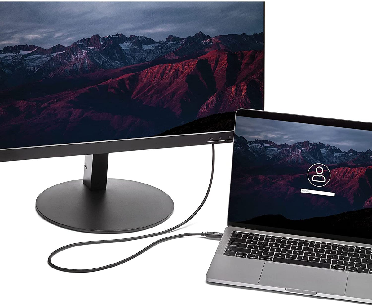 StarTech.com 6ft/2m USB C to VGA Cable - 1920x1200/1080p USB Type C to VGA Video Active Adapter Cable - Thunderbolt 3 Compatible - Laptop to VGA Monitor/Projector - DP Alt Mode HBR2 (CDP2VGAMM2MB) 6.6 feet