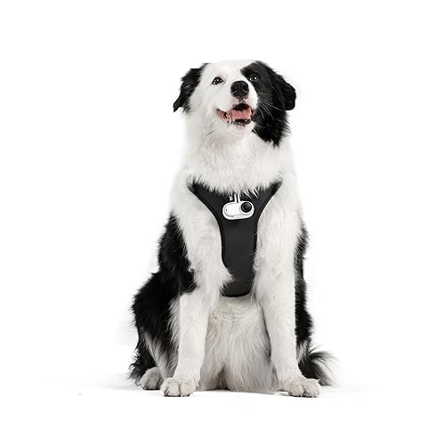 Insta360 Accessory Cinsbavz Pet Harness Mount Size L Retail