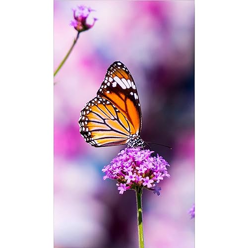 NEC MultiSync UN552V 55 16:9 Full HD S-IPS Ultra Narrow Bezel Video Wall LCD LED Display with Direct LED Backlights, 3.5mm Bezel Gap HDMI/DP Daisy Chain, SpectraView Engine