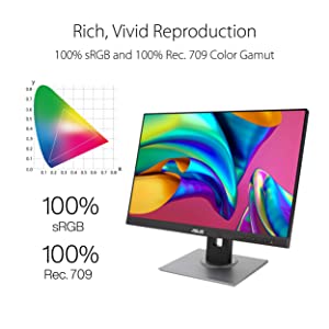 ASUS ProArt Display PA248QV 24.1” WUXGA (1920 x 1200) 16:10 Monitor, 100% sRGB/Rec.709 ?E < 2, IPS, DisplayPort HDMI D-Sub, Calman Verified, Eye Care, Anti-glare, Tilt Pivot Swivel Height Adjustable 24.1" 16:10 1920x1200 DP HDMI D-Sub