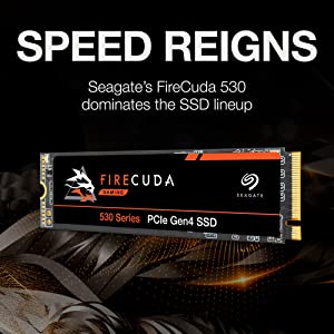 Seagate FireCuda 530 4TB Solid State Drive - M.2 PCIe Gen4 ×4 NVMe 1.4, speeds up to 7300 MB/s, Compatible PS5 Internal SSD, 3D TLC NAND, 1275 TBW, 1.8M MTBF, 3yr Rescue Services (ZP4000GM3A013) 4TB 530 NVMe - Gen 4