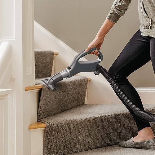 Shark Navigator Self-Cleaning Brushroll Pet Upright Vacuum (ZU62C) - Canadian Version, 35 x 30.3 x 77 cm