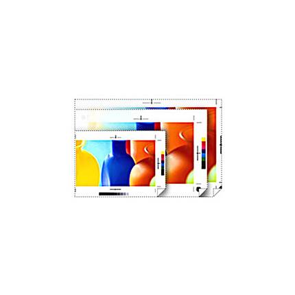 Epson 17x100 Standard Proofing Adhesive Paper - Roll