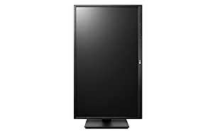 LG 24” Class (23.8” Diagonal) IPS Multi-Tasking Monitor 24BL650C-B