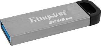 Kingston DataTraveler Kyson 256GB USB 3.2 Metal Flash Drive (DTKN/256GB)
