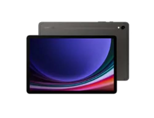 Tab S9 12 GB 256 GB Graphite