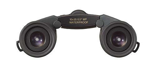 Nikon Sportstar EX 10x25 DCF Binocular Roof Charcoal, Grey