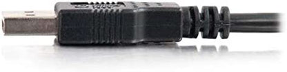 C2g/ cables to go Cables to Go 28106 USB A Male to A Male Cable (2 Meter, Black)