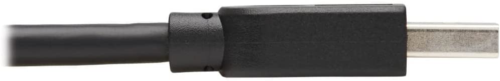 Tripp Lite USB-A Cable for Connecting Keystone &amp; Panel Couplers, Up to 5 Gigabytes per Second, Not for Typical Data Transfer or Charging, 15 Feet / 4.6 Meters, Life Manufacturer's Warranty (U325-015) 15 Feet / 4.3 Meters