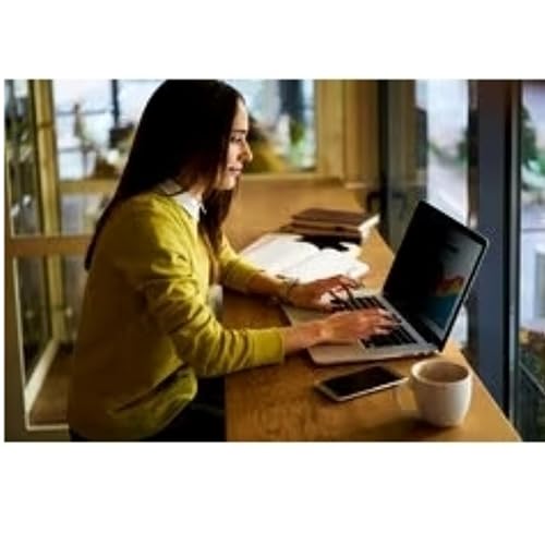 3M Bright Screen Privacy Filter for 16" Laptop, BP160W1B - Dealtargets.ca