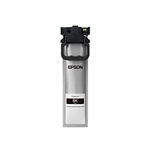 Epson (T10W High Capacity Black Ink Pack