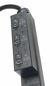APC by Schneider Electric Rack PDU, Switched, Zero U, 12.5kW, 208V,(21) C13&amp;(3) C19; 10' Cord