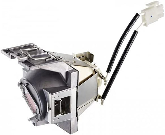ViewSonic RLC-116 Projector Lamp