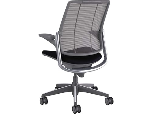 Humanscale Smart Diffrient World Chair, Back Pinstripe/Black, Seat Corde4/Black