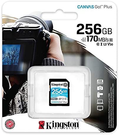 Kingston 256GB SDXC Canvas Go Plus 170MB/s Read UHS-I, C10, U3, V30 Memory Card (SDG3/256GBcr)