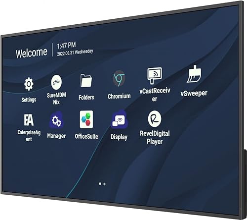 ViewSonic CDE9830
