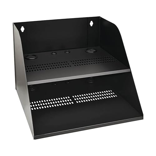 Tripp Lite Wall-Mount Double Shelf for Small IT Equipment Like Routers, Switches, Servers, A/V & More - 20 inches Wide, 21 inches Deep, Supports up to 250 lbs / 113 kg, 5-Year Warranty (SRWOSHELFLG)