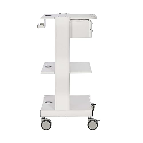 Tripp Lite Mobile Standing Desk, Small Rolling Laptop Cart Workstation Workspace, 2 Adjustable Shelf & 2 Metal Storage Drawers, TAA Compliant, Home Office & School, 5-Year Warranty (WWSS2DWSTAA)