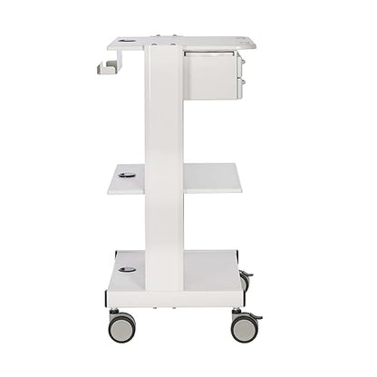 Tripp Lite Mobile Standing Desk, Small Rolling Laptop Cart Workstation Workspace, 2 Adjustable Shelf & 2 Metal Storage Drawers, TAA Compliant, Home Office & School, 5-Year Warranty (WWSS2DWSTAA)
