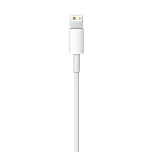Apple Lightning to USB Cable (1m) ???????