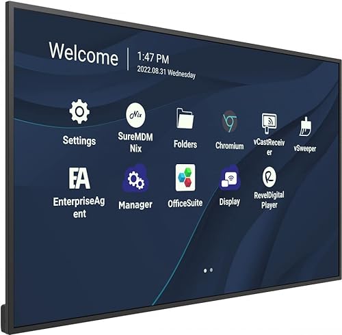 ViewSonic CDE9830