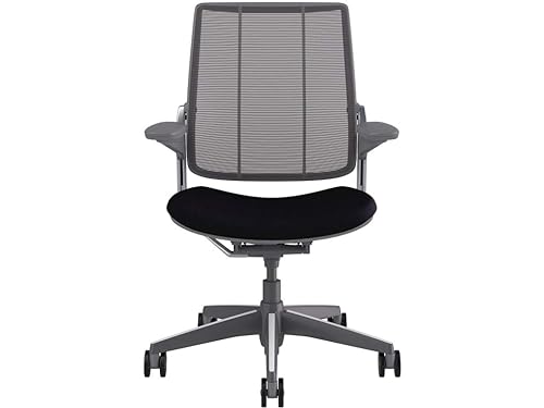 Humanscale Smart Diffrient World Chair, Back Pinstripe/Black, Seat Corde4/Black