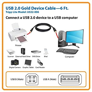 Tripp Lite USB 2.0 High-Speed Cable, Type-A to Type-B (M/M), 6-ft. (U022-006) 6 ft.