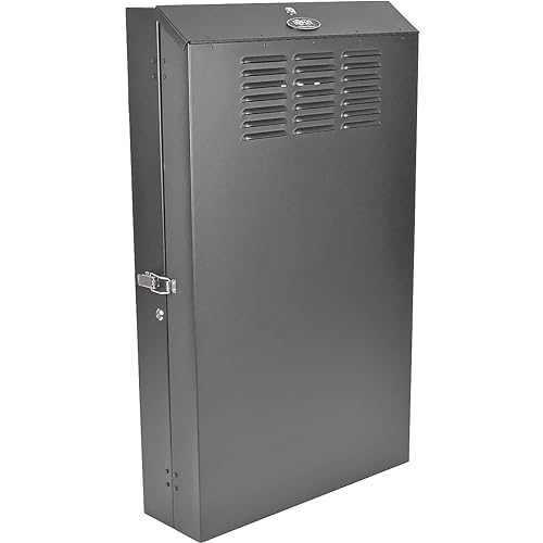 Tripp Lite 4U Vertical Wall-Mount Rack Enclosure Cabinet, Low-Profile, Server Depth, 36 Deep (SRWF4U36) 4U Server Depth