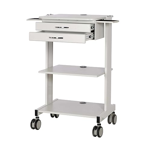 Tripp Lite Mobile Standing Desk, Small Rolling Laptop Cart Workstation Workspace, 2 Adjustable Shelf & 2 Metal Storage Drawers, TAA Compliant, Home Office & School, 5-Year Warranty (WWSS2DWSTAA)