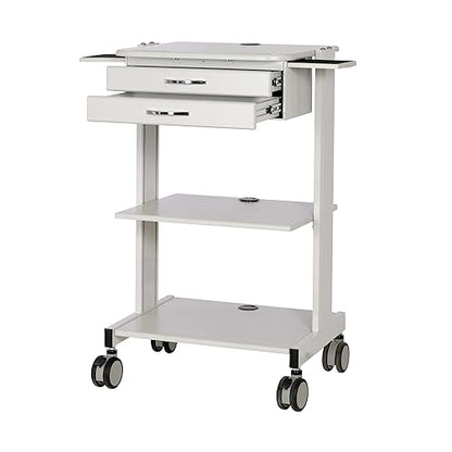 Tripp Lite Mobile Standing Desk, Small Rolling Laptop Cart Workstation Workspace, 2 Adjustable Shelf & 2 Metal Storage Drawers, TAA Compliant, Home Office & School, 5-Year Warranty (WWSS2DWSTAA)