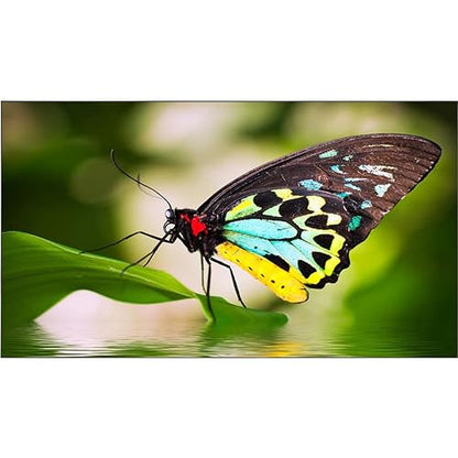 NEC - UN552 - Display 55 Ultra-Narrow Bezel Professional-Grade Display - 55 LCD - 1920 X 1080 - Direct LED - 700 Nit - 1080P - HDMI - USB - DVI - Serialethernet