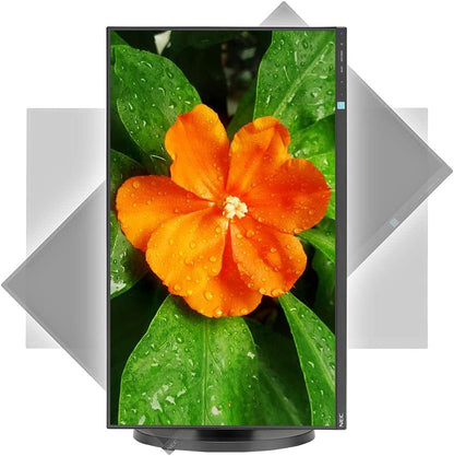 NEC 27in Narrow Bezel Desktop Monitor