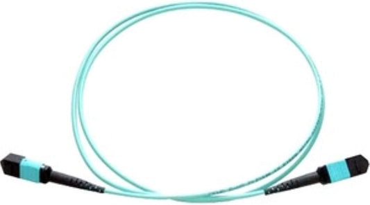 Axiom memory solution 10M - MPO Female/MPO Female