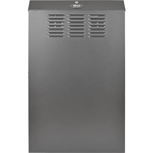 Tripp Lite 4U Vertical Wall-Mount Rack Enclosure Cabinet, Low-Profile, Server Depth, 36 Deep (SRWF4U36) 4U Server Depth