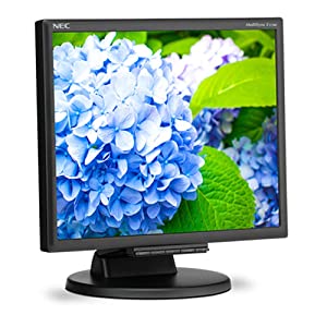 NEC E172M-BK 17" Desktop Monitor with LED Backlighting, Black